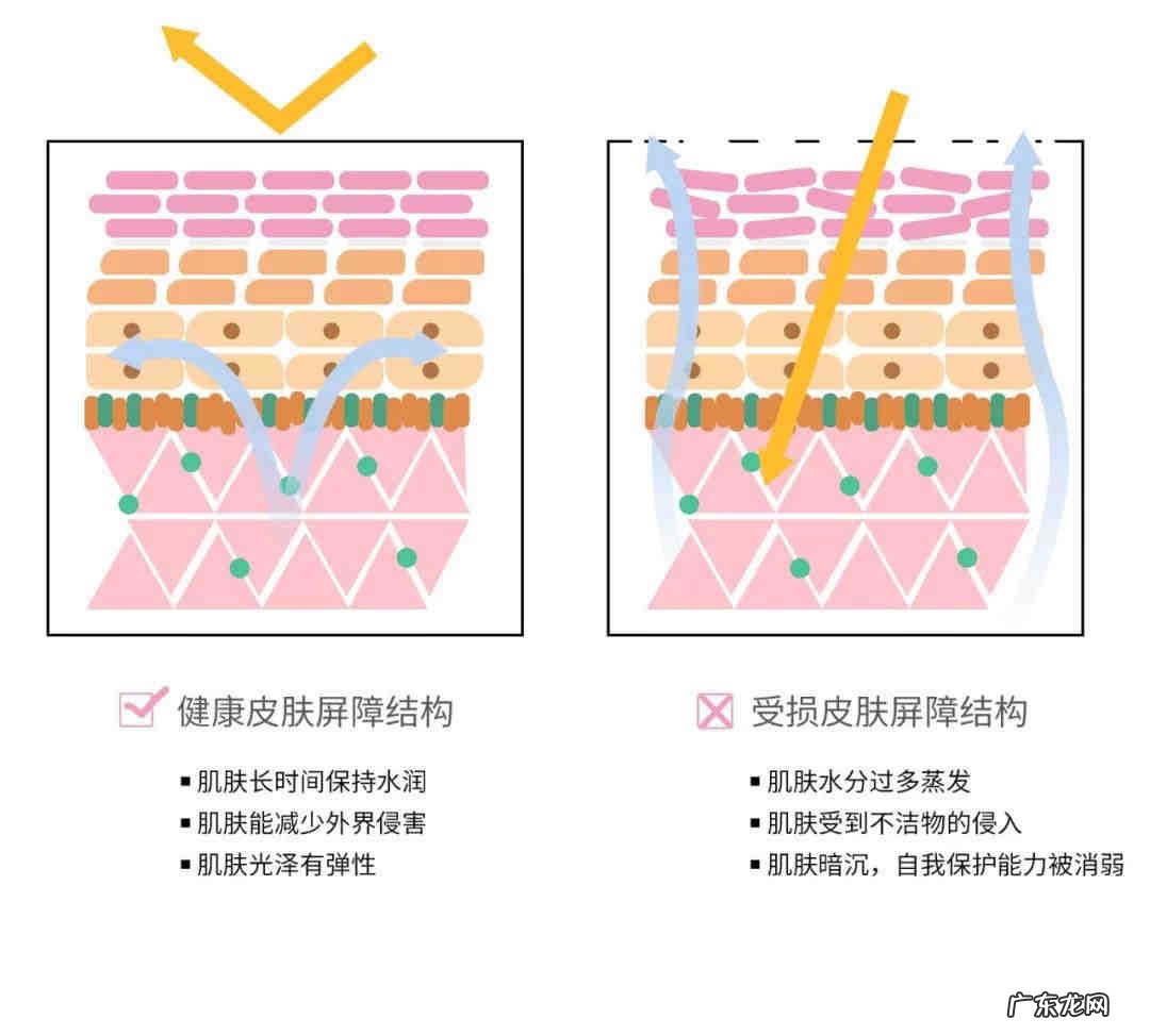 步入秋季后,护肤应该做出什么调整?