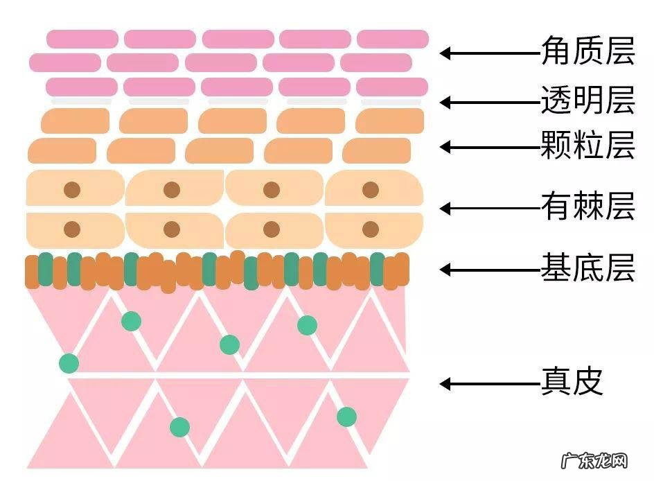 步入秋季后,护肤应该做出什么调整?
