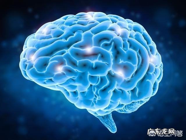 吃哪些食物能让宝宝变聪明?