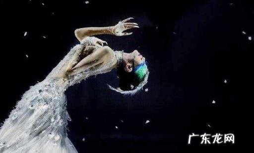 小彩旗的微博号是多少,小彩旗微博新浪微博