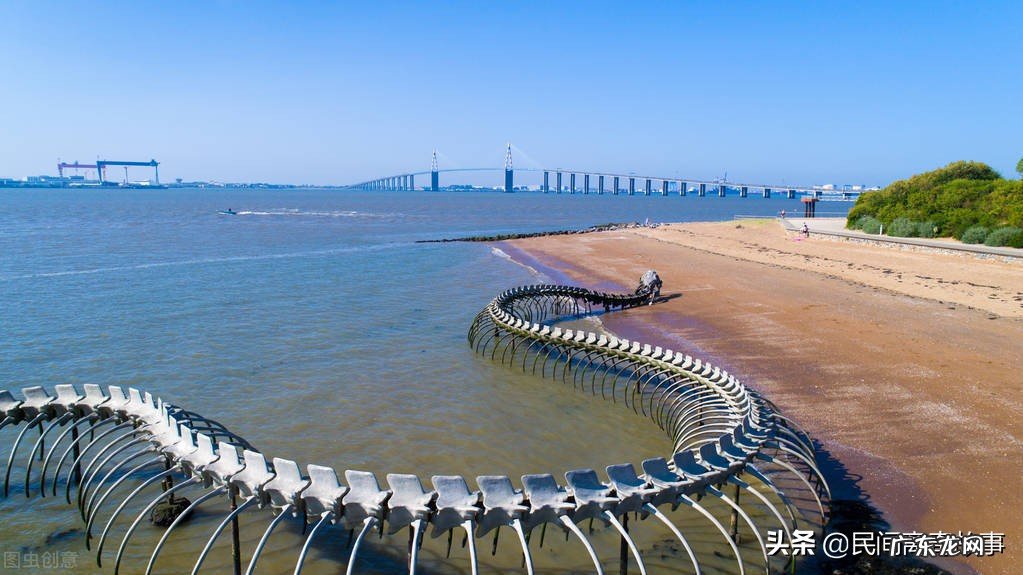 55米巨蛇真的存在吗?