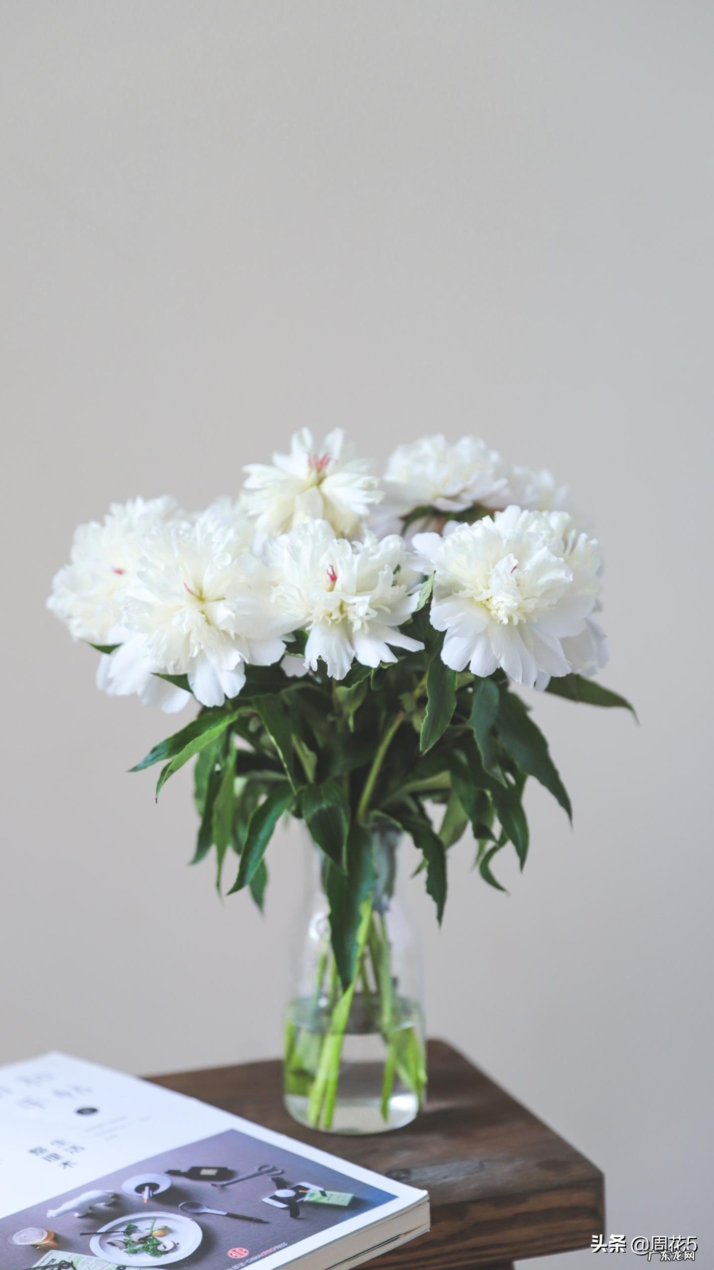 你觉得自己孝顺吗?