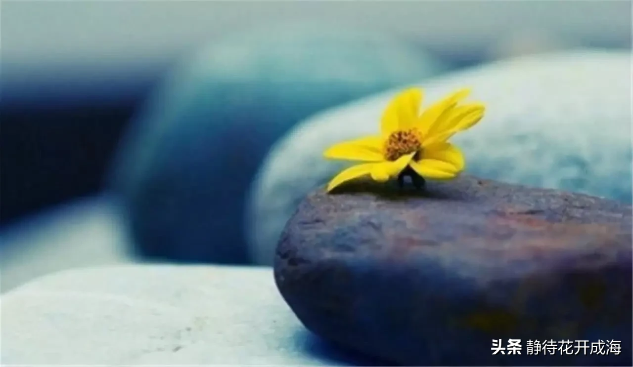 你是怎样变得不浮躁的?