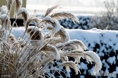 今年是暖冬吗？