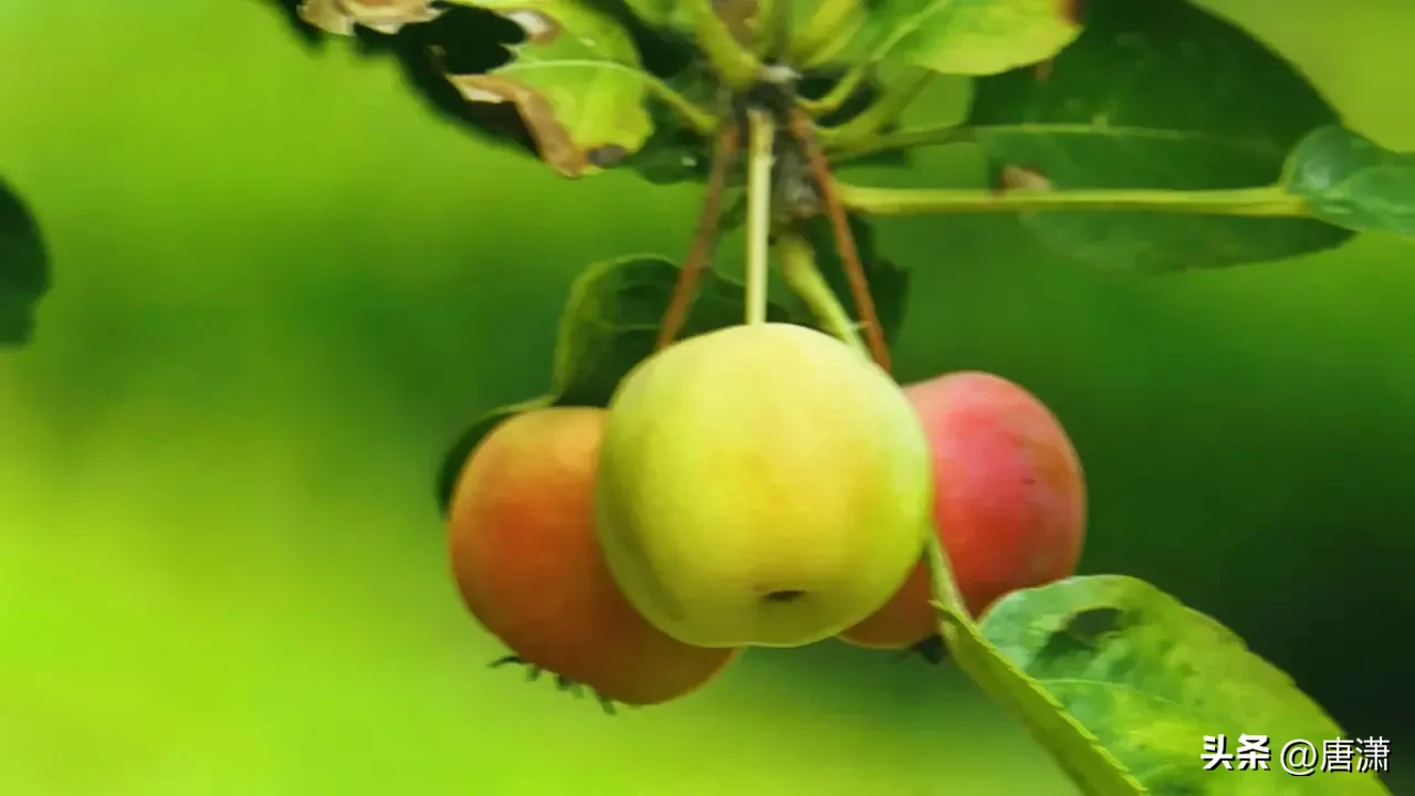 “持家”的女人,都有哪些“精准”的省钱经验?