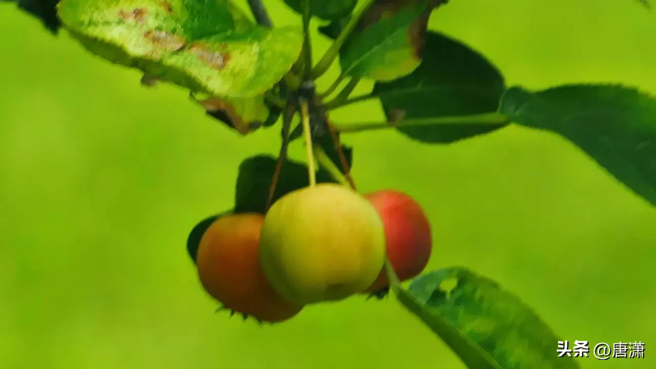 “持家”的女人,都有哪些“精准”的省钱经验?