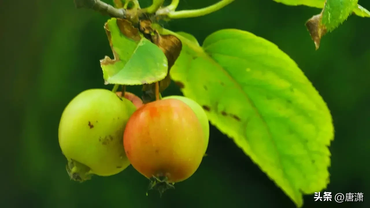 “持家”的女人,都有哪些“精准”的省钱经验?