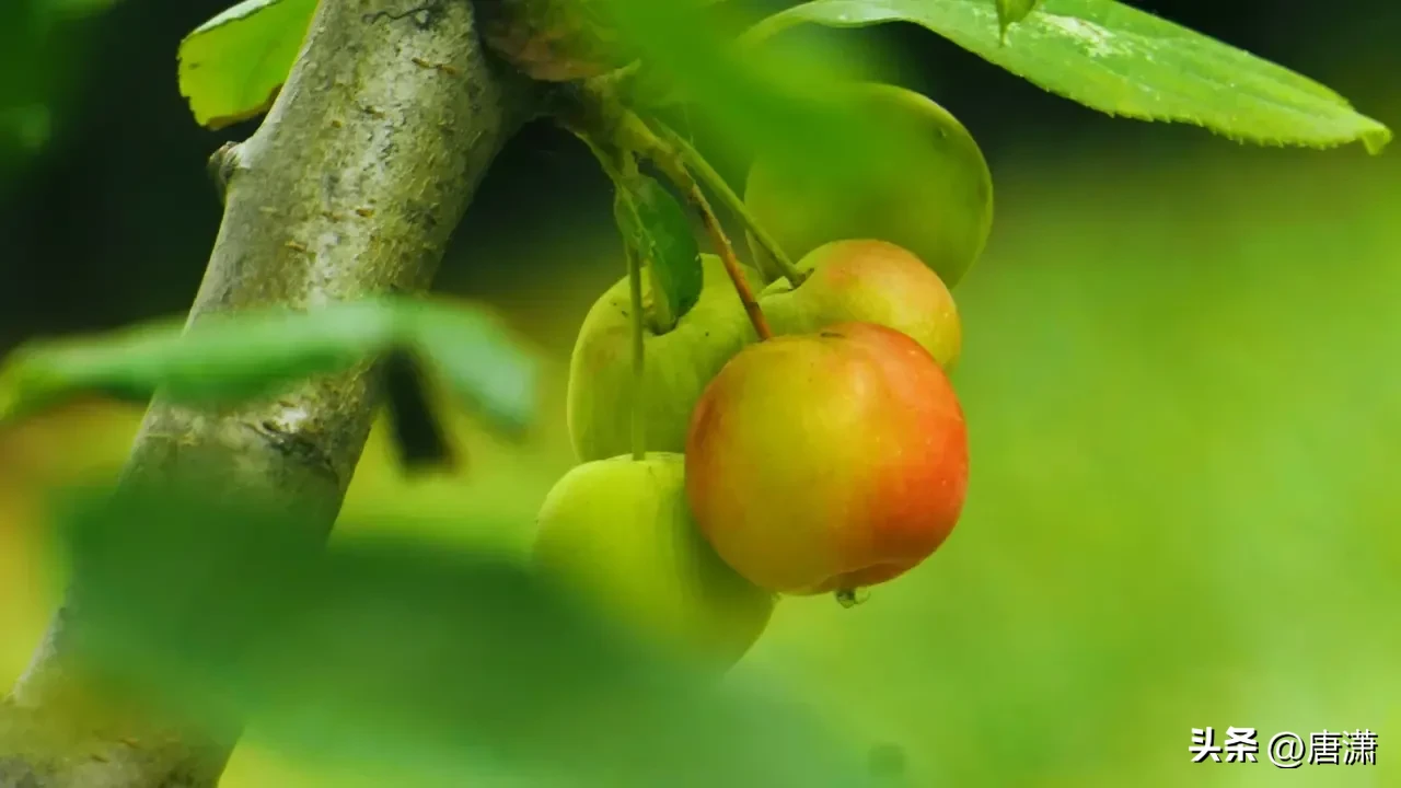 “持家”的女人,都有哪些“精准”的省钱经验?
