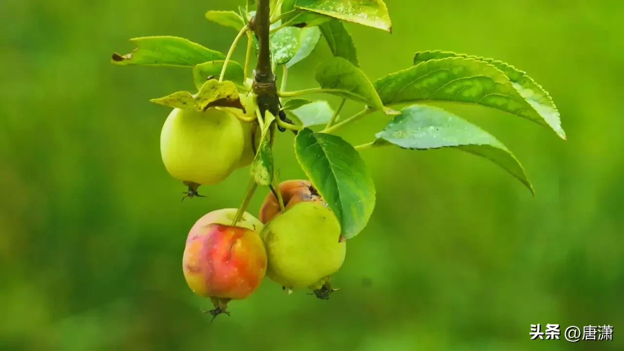 “持家”的女人,都有哪些“精准”的省钱经验?