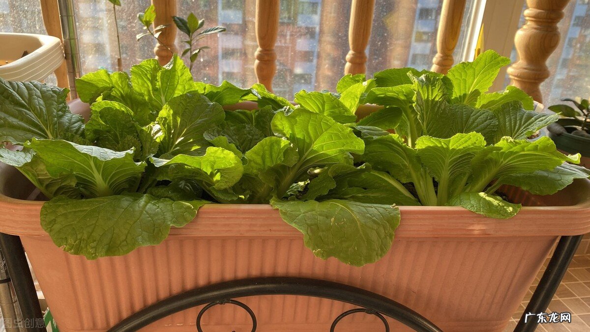 “持家”的女人,都有哪些“精准”的省钱经验?