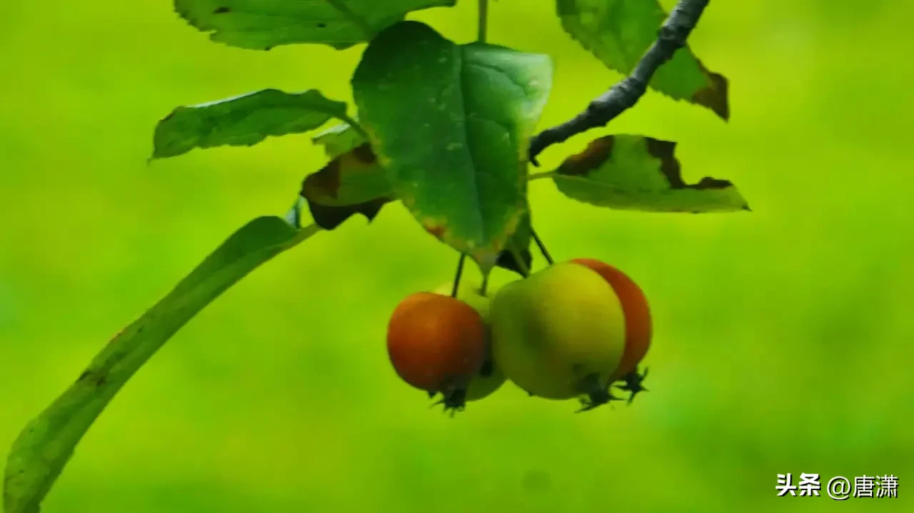 “持家”的女人,都有哪些“精准”的省钱经验?