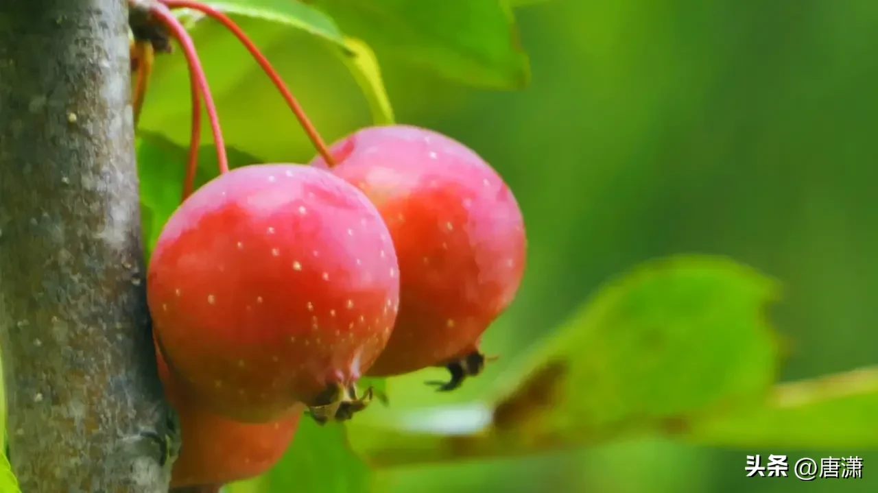 “持家”的女人,都有哪些“精准”的省钱经验?