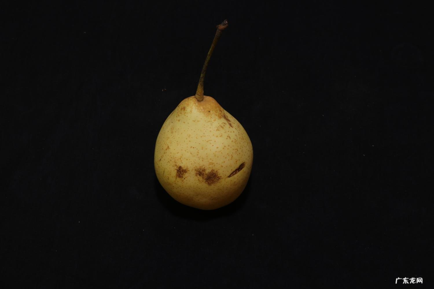 鸭梨的产地在哪里 鸭梨的产地在什么地方