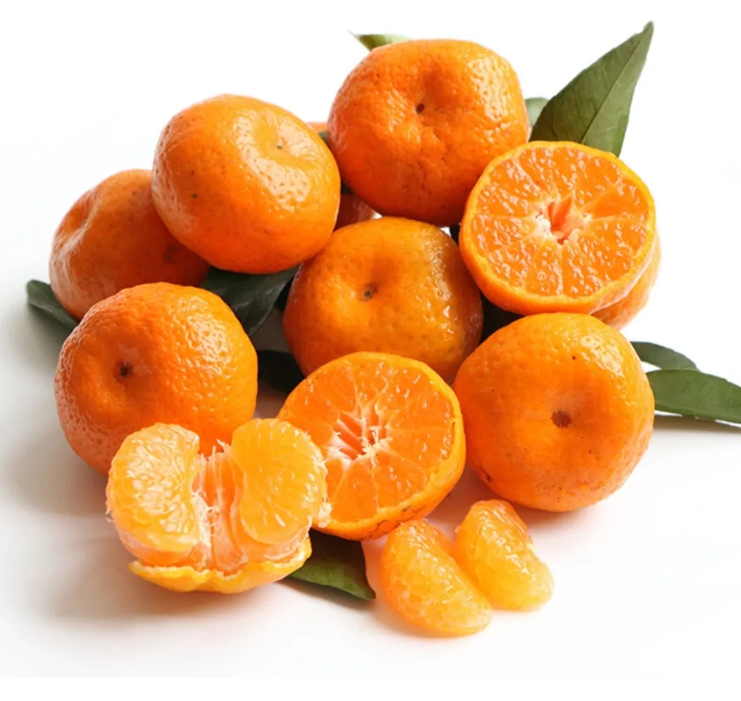 今年的砂糖橘为啥叫杀人橘?