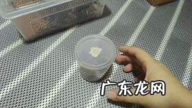 一周提高立定跳远 立定跳远的视频