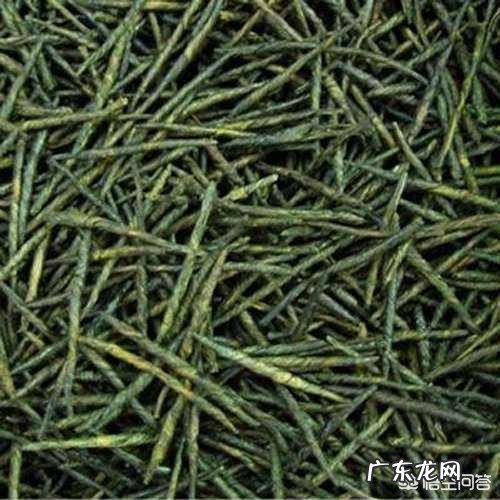 严重口臭吃点什么药能治疗?