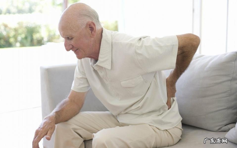 五加皮的功效与作用主要治什么病 五加皮酒的功效与作用痛风