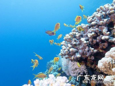 你觉得中国最美海岛是哪个岛?