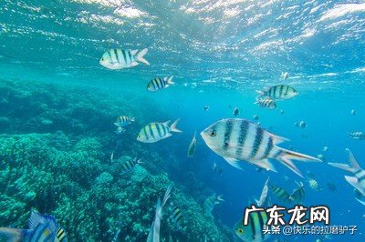 你觉得中国最美海岛是哪个岛?