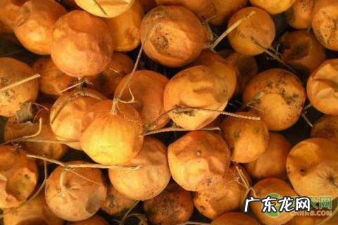 瓜蒌的功效与作用主要治什么病 瓜蒌的功效与作用图片大全大图