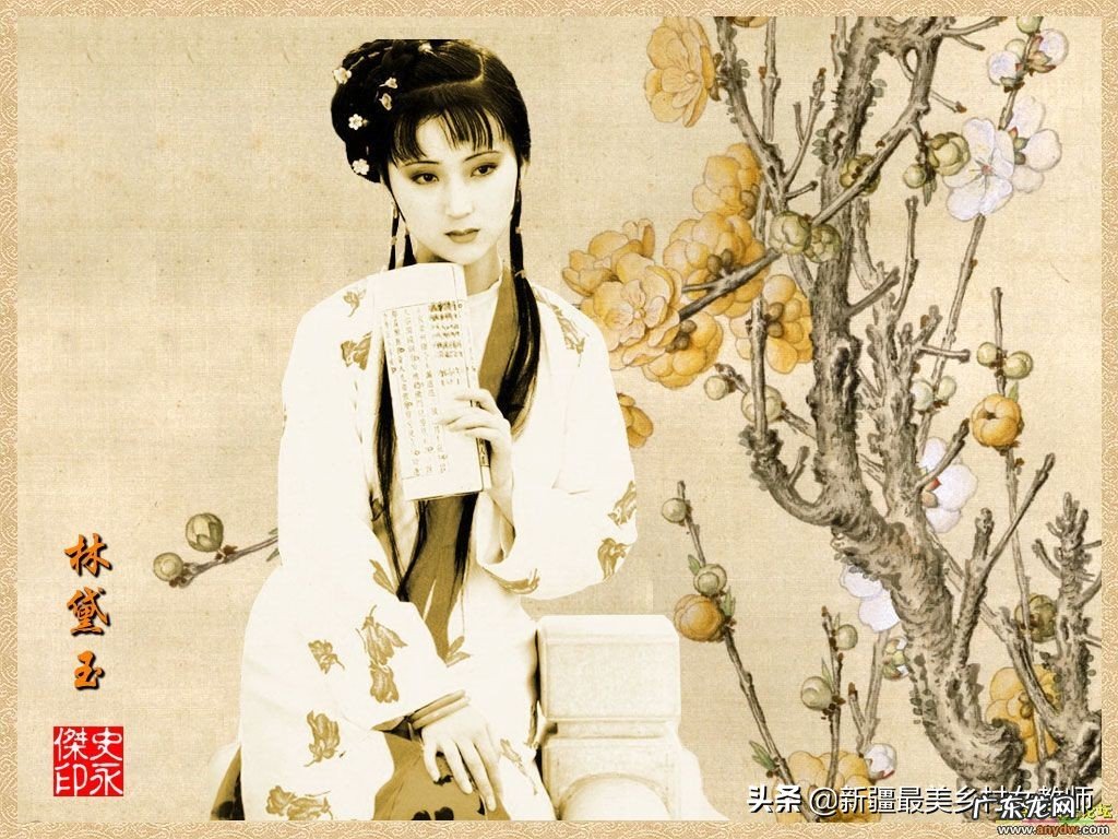 《红楼春趣》讲的什么故事?