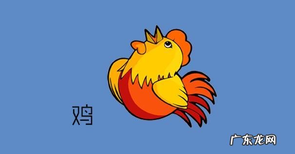 家里都是大属相 大属相