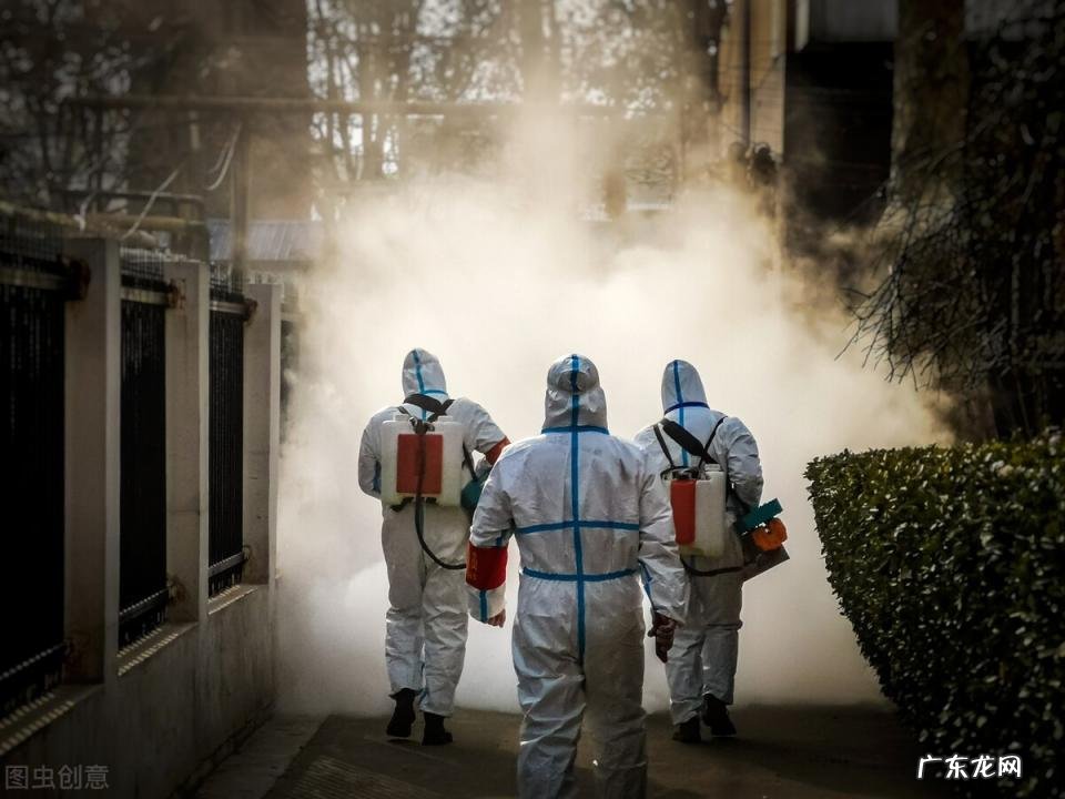 中国与巴基斯坦关系 巴基斯坦跟中国的关系为什么这么好