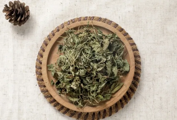 农村常见的犁头草为什么被称为“地丁”？它有什么药用价值？