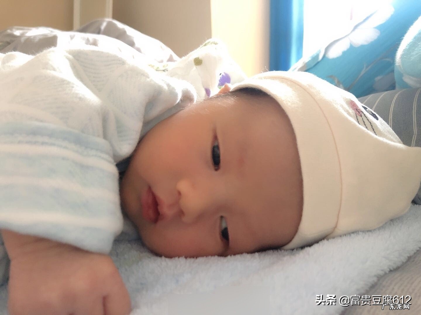 哺乳期吃什么下奶快?哪些食物更促进乳汁的分泌有利于产后恢复?