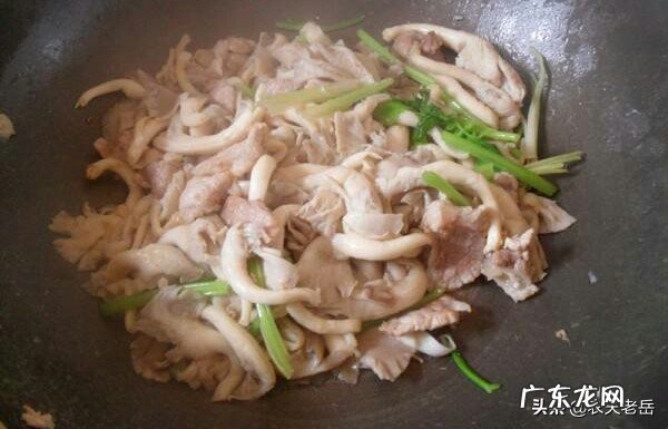 凤尾菇，营养价值高，推荐几种凤尾菇烹制的美味菜肴吧？