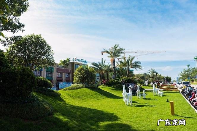 万科碧桂园退出收购恒大 碧桂园收购恒大物业未谈拢清宫表