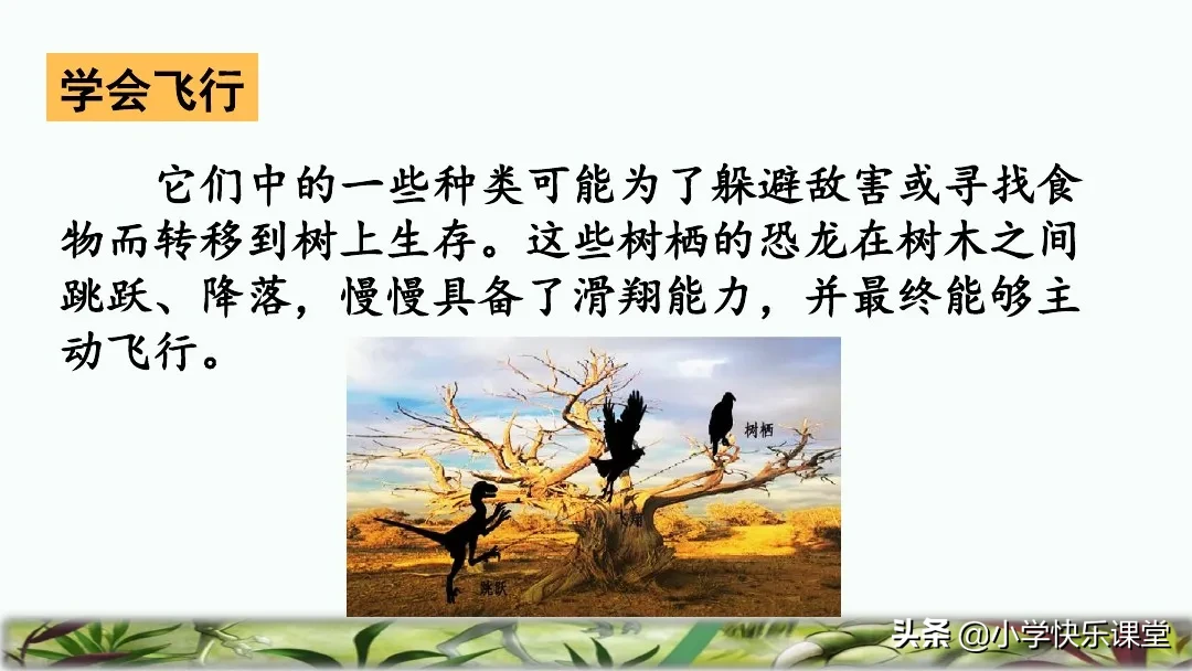 五彩斑斓的近义词是什么 标准答案 五彩缤纷的近义词