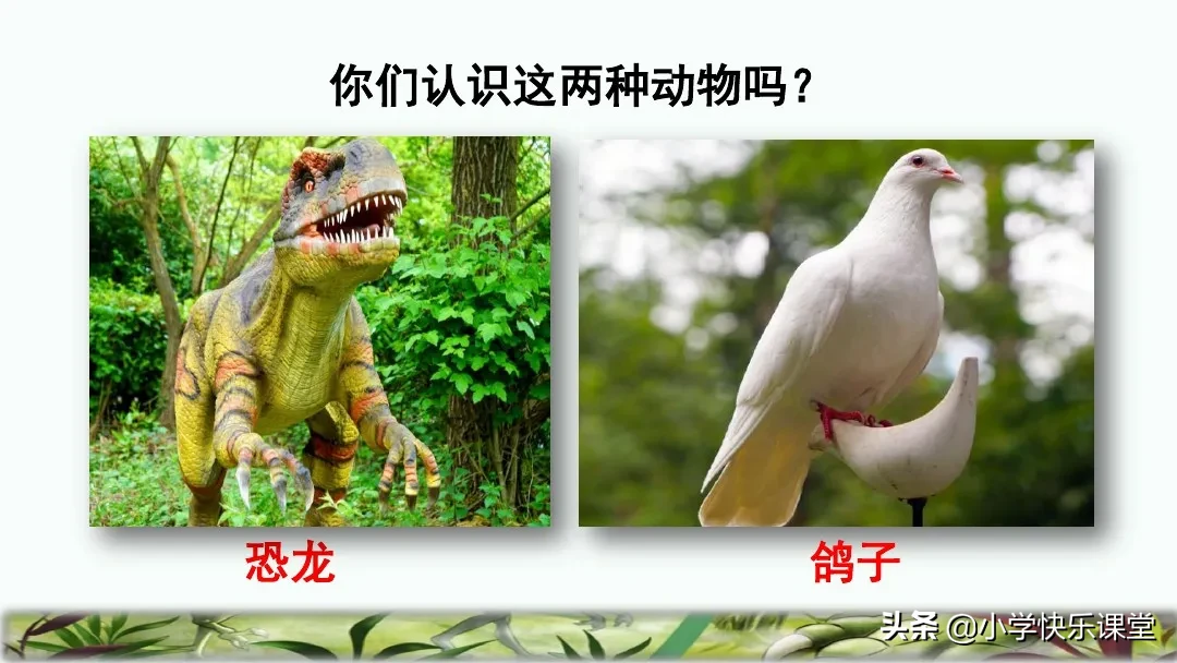 五彩斑斓的近义词是什么 标准答案 五彩缤纷的近义词