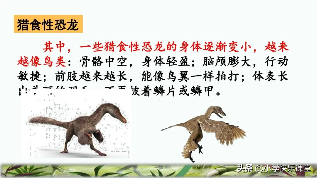 五彩斑斓的近义词是什么 标准答案 五彩缤纷的近义词