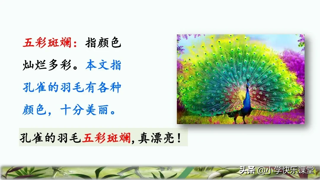 五彩斑斓的近义词是什么 标准答案 五彩缤纷的近义词