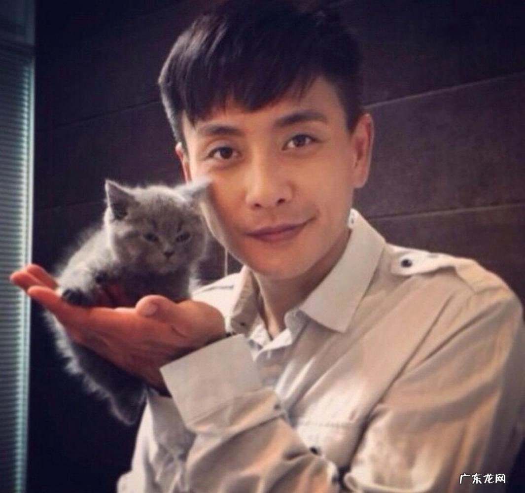 古天乐资料简介 古天乐要结婚了吗