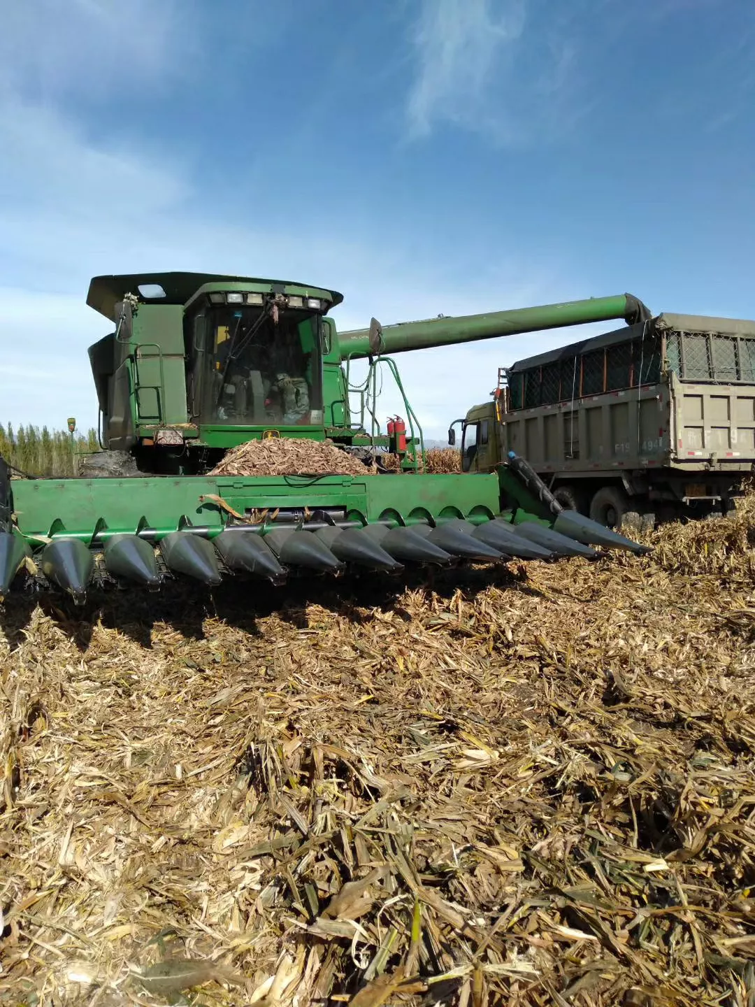 古人作诗为何喜欢伤春悲秋-这是一种怎样的感情表达?