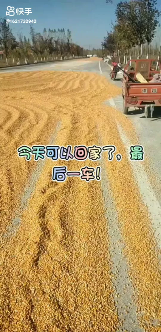 古人作诗为何喜欢伤春悲秋-这是一种怎样的感情表达?