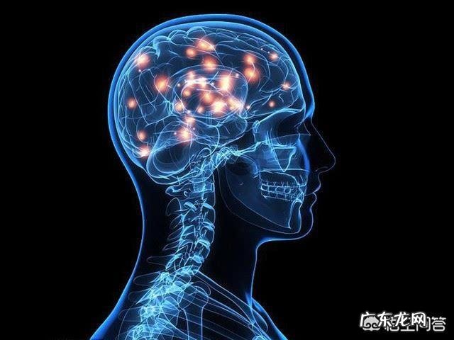 从科学和生物学的角度分析，死人有没有可能复活？