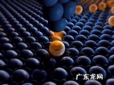 从科学和生物学的角度分析,死人有没有可能复活?