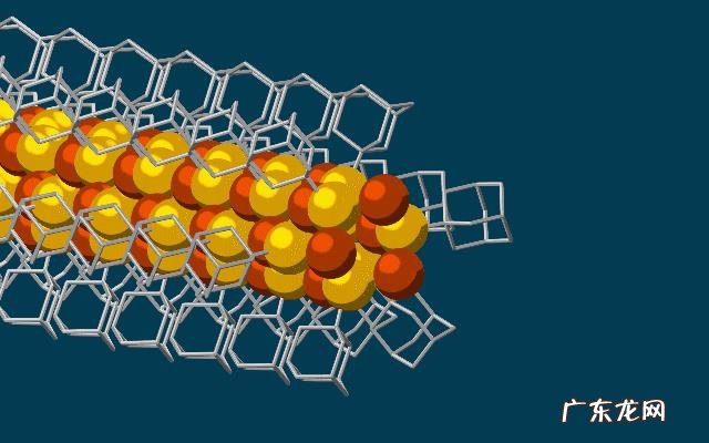 从科学和生物学的角度分析，死人有没有可能复活？