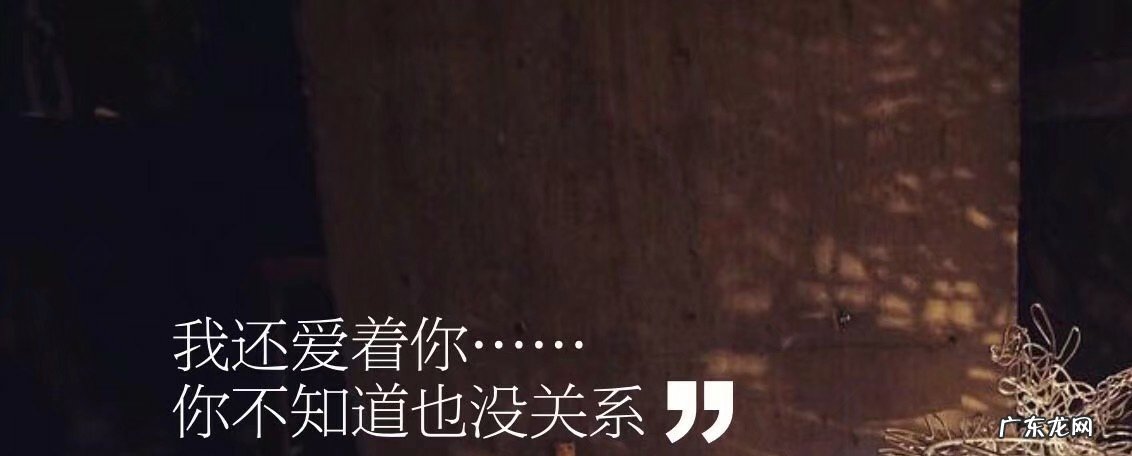 嘴上说已经忘掉了那个你一直也忘不掉的人，是真的吗？