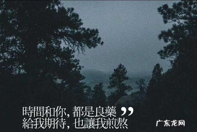 嘴上说已经忘掉了那个你一直也忘不掉的人，是真的吗？