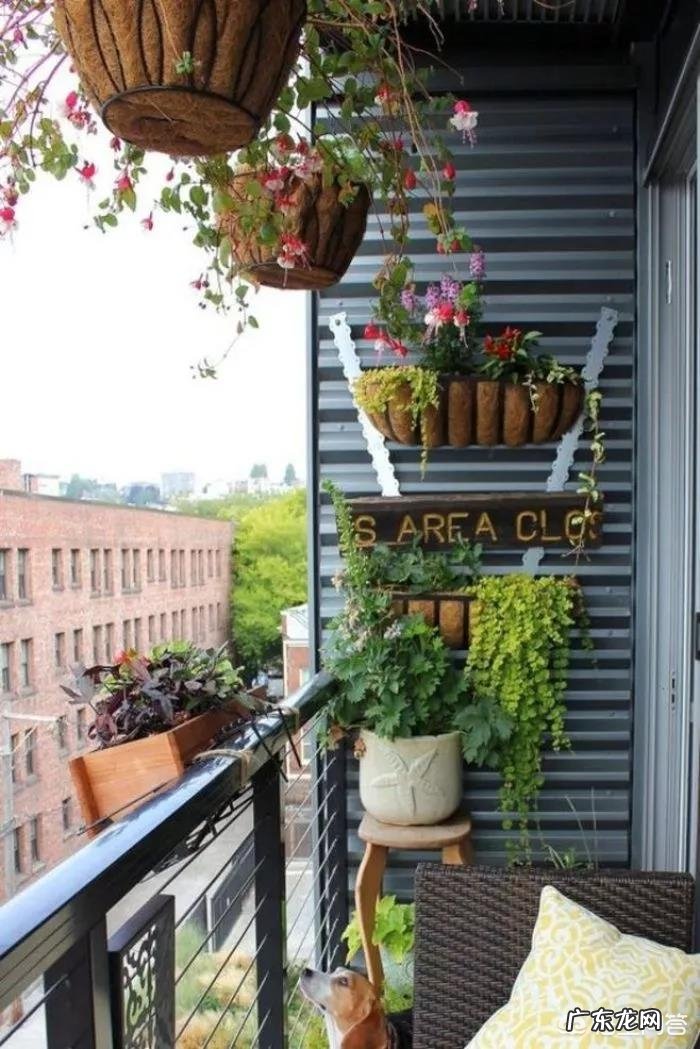 喜欢花园没有别墅私家花园,怎样利用家里的阳台和屋顶打造一个美丽的花园?