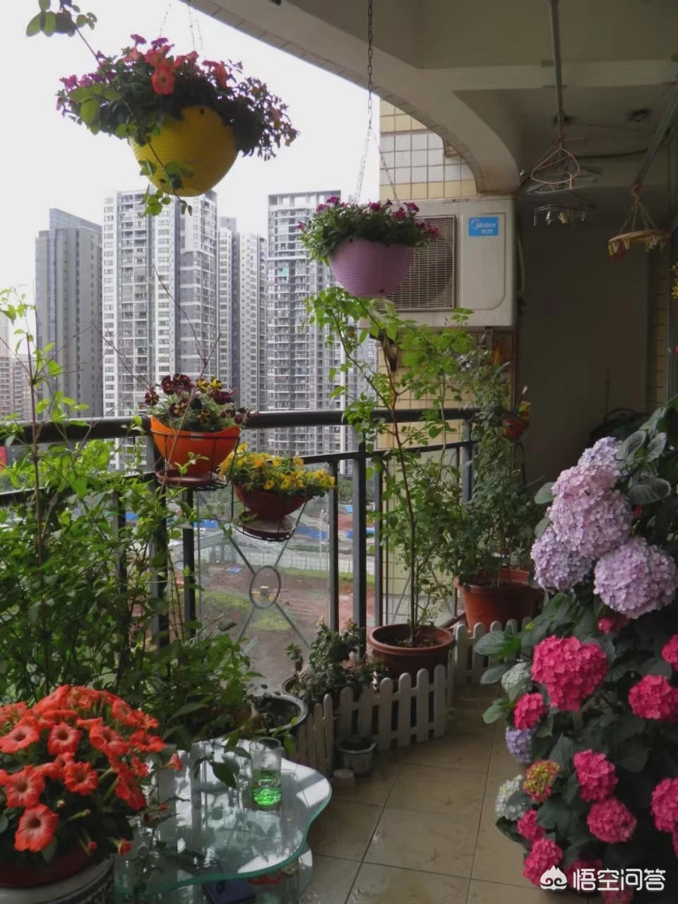 喜欢花园没有别墅私家花园,怎样利用家里的阳台和屋顶打造一个美丽的花园?