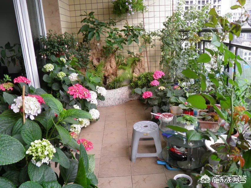 喜欢花园没有别墅私家花园,怎样利用家里的阳台和屋顶打造一个美丽的花园?