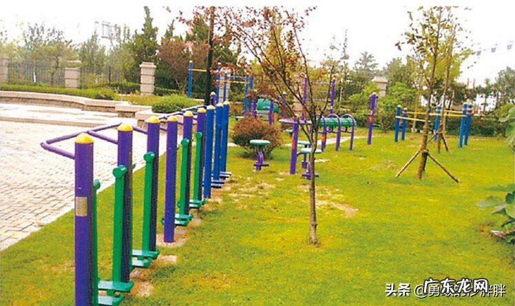 公园里锻炼身体哪种健身器材比较好?
