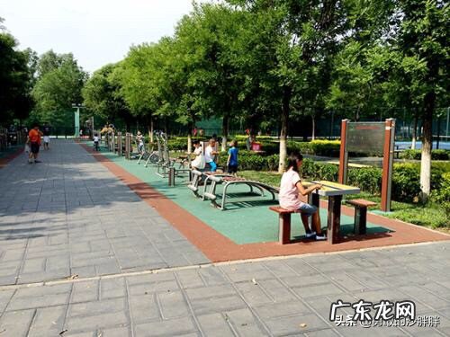 公园里锻炼身体哪种健身器材比较好?