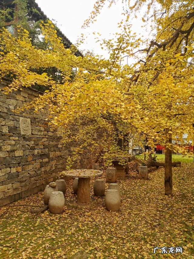 古体诗为何消亡?