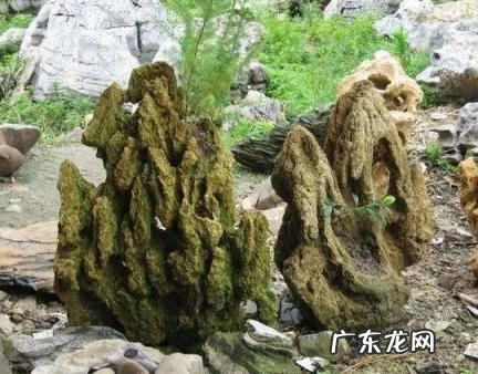 吸水石应该放在家里什么位置 吸水石放到家中什么位置好